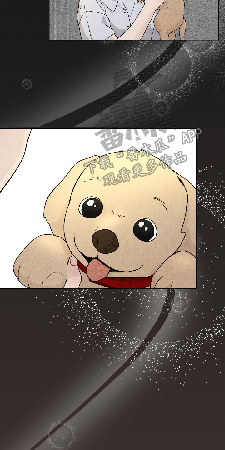 神犬也疯狂圣诞狗漫画,第3章：摩卡4图