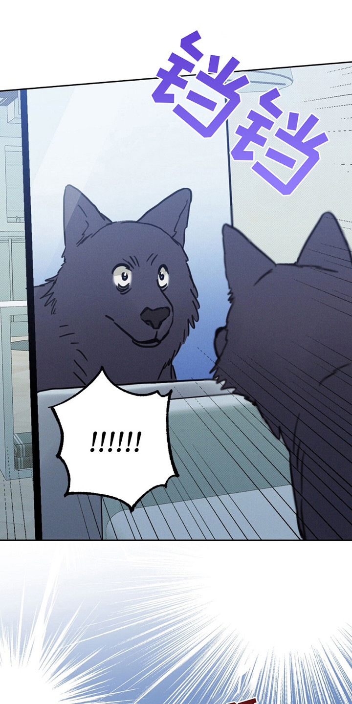 圆月变身漫画,第8章：宝宝？3图