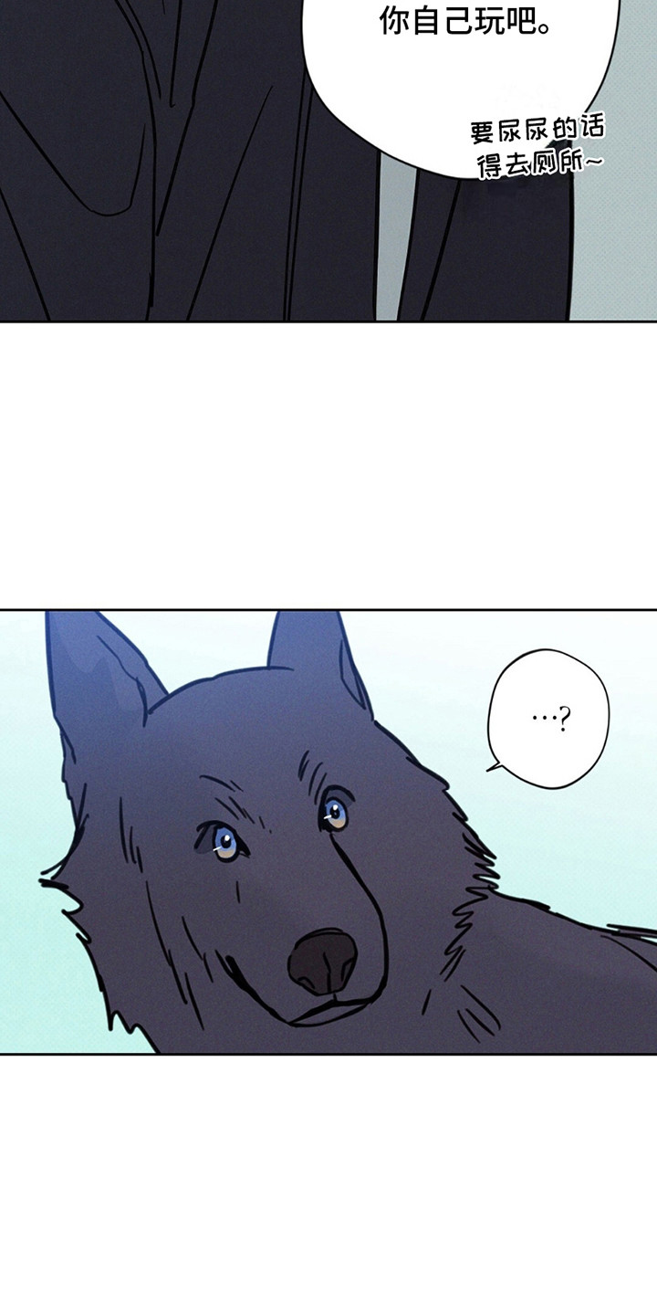 圆月变身漫画,第10章：JS动物医院3图