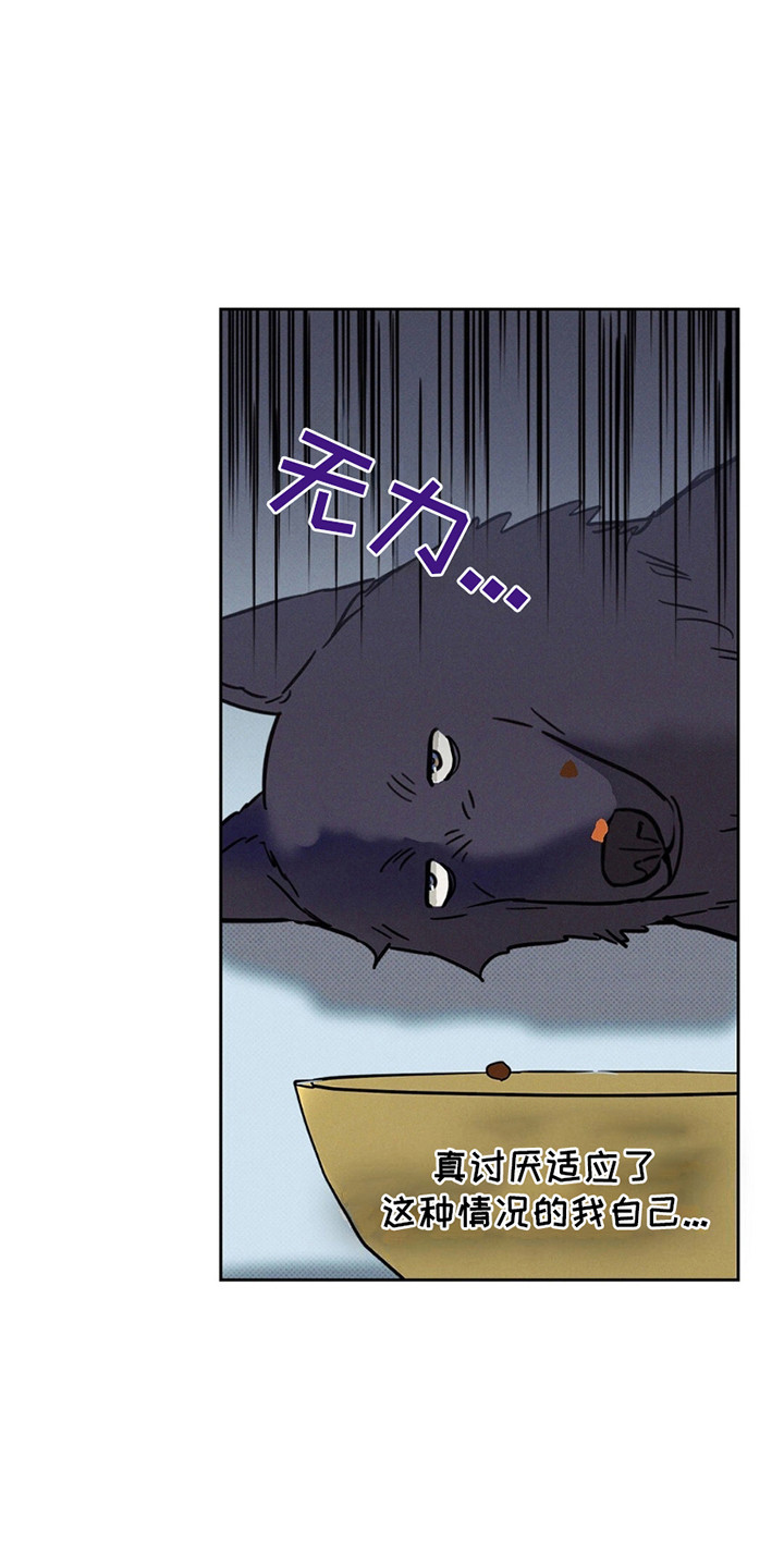 圆月变身漫画,第10章：JS动物医院5图