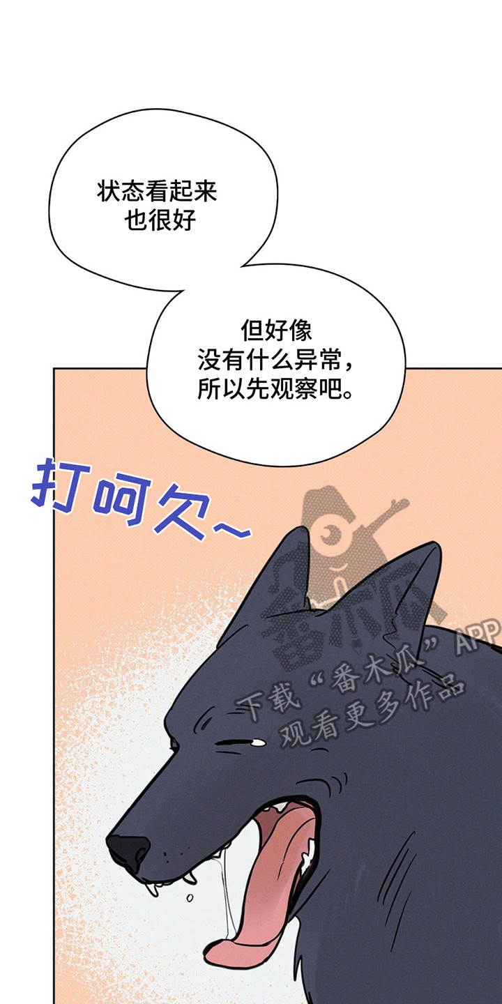 圆月变身漫画,第13章：只想和他在一起5图