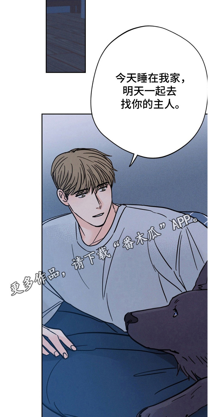 圆月变身漫画,第9章：我是狼人！！2图