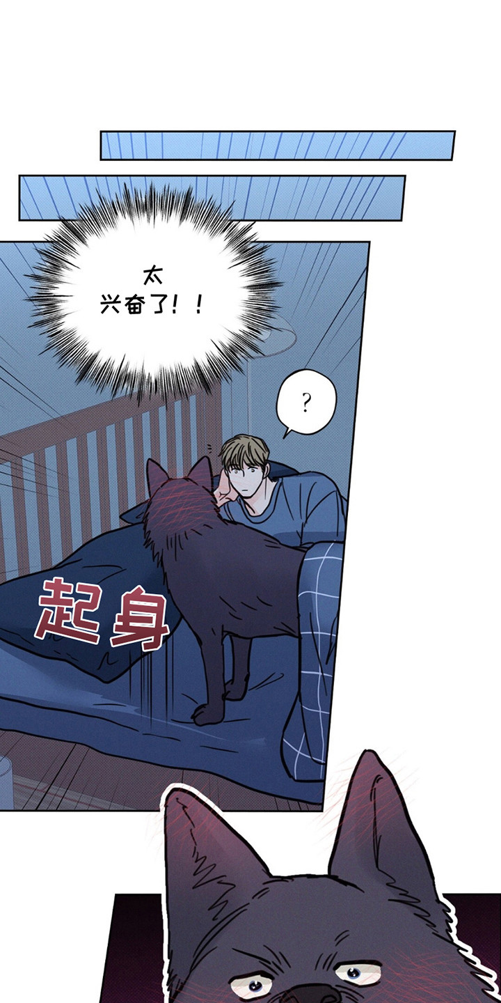 圆月变身漫画,第9章：我是狼人！！5图