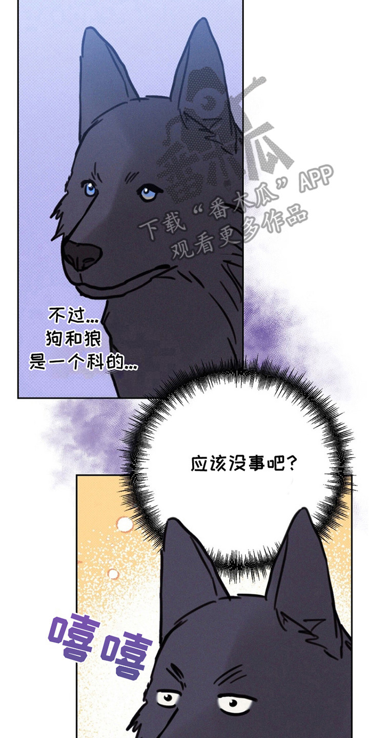 圆月变身漫画,第9章：我是狼人！！5图