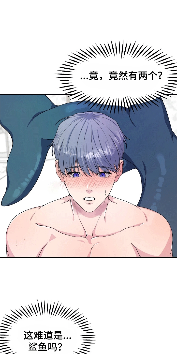 我手里的怪物漫画,第6章：鲨鱼4图