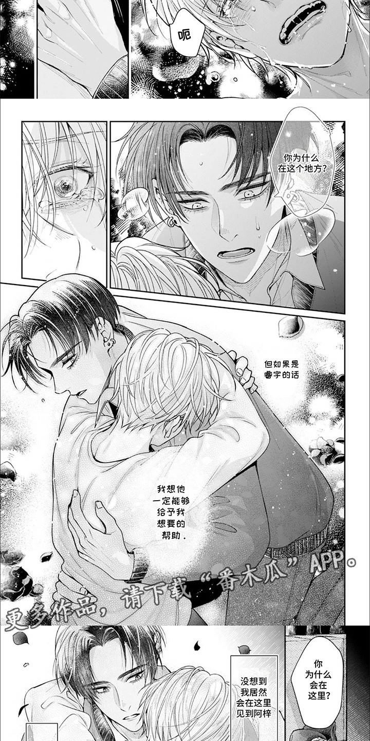 自私的猫与爱漫画,第5章：再次遇见2图