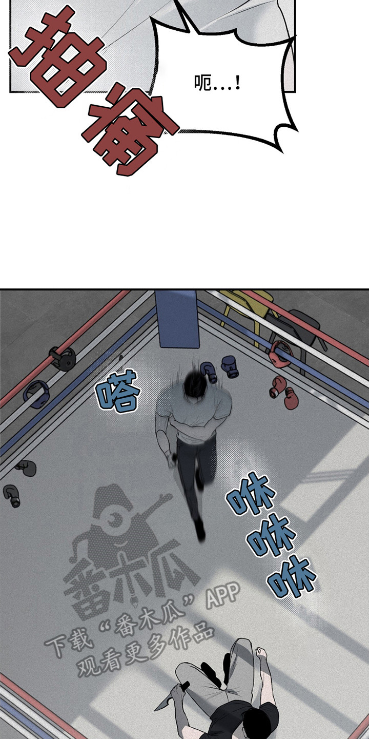 负罪abo番外漫画,第20章：擂台4图
