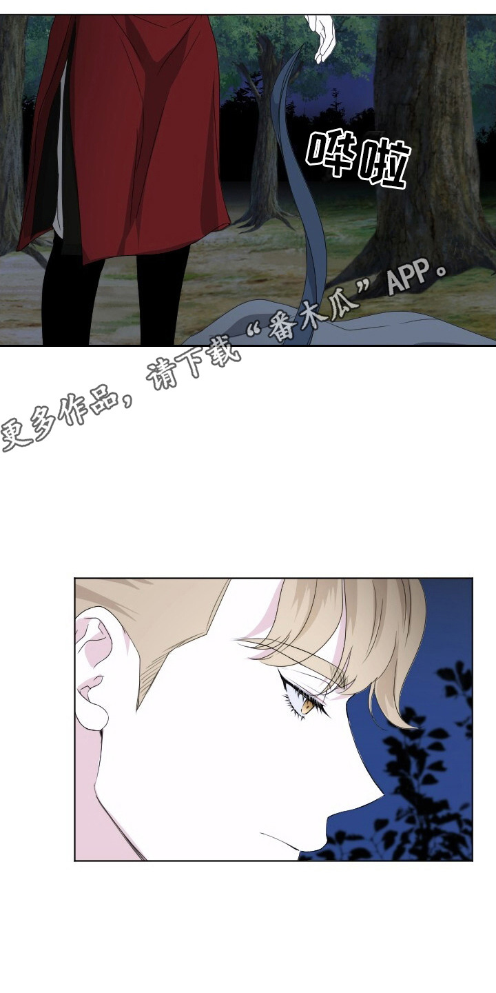 罪臣谎言漫画,第16章：没有下次5图