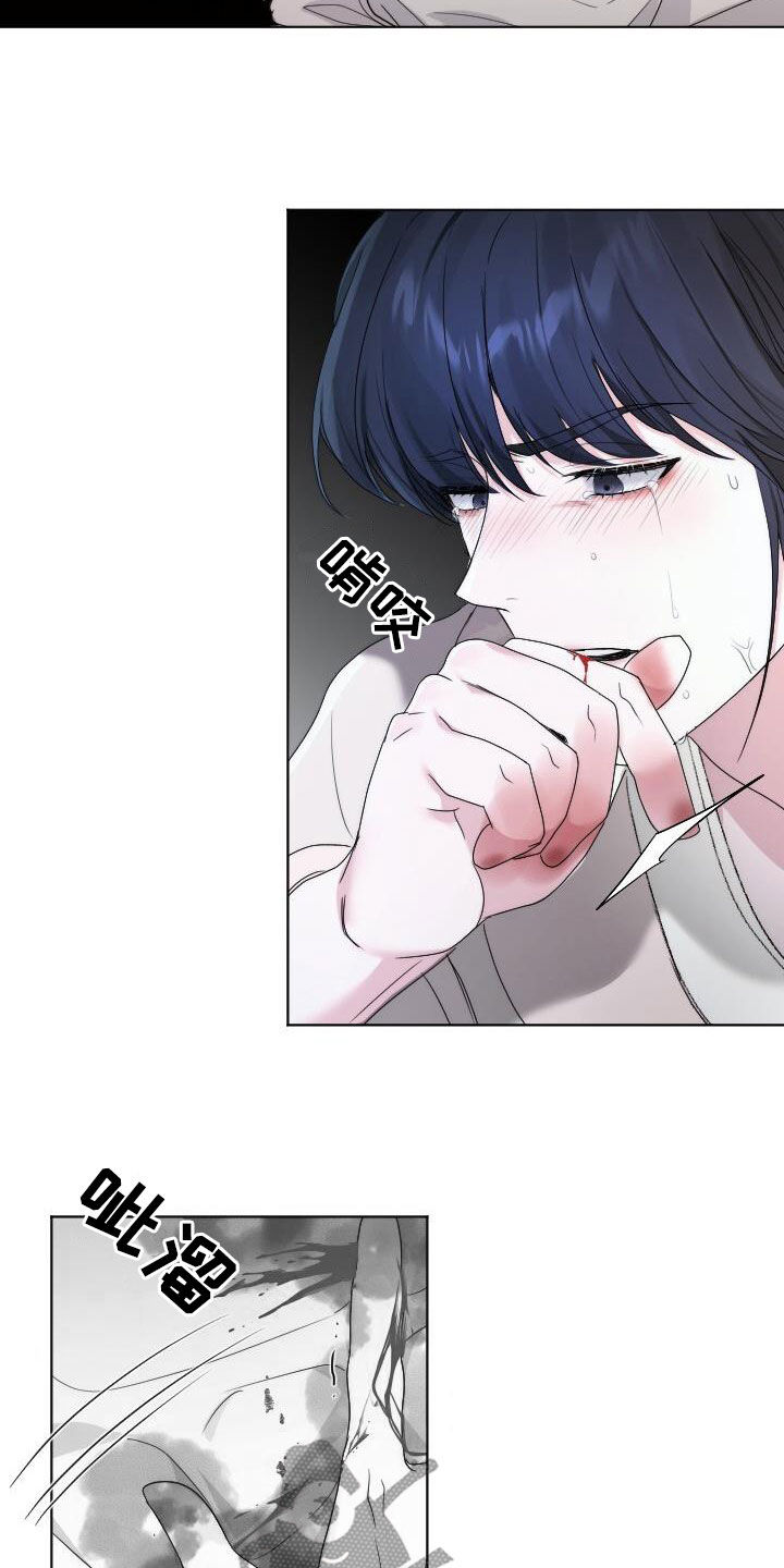 罪臣谎言漫画,第22章：喜欢的花2图