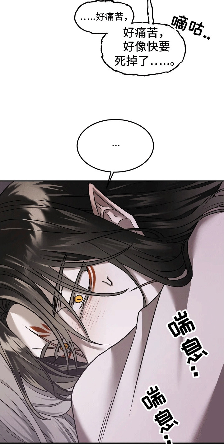 恶神的祭品新娘在线观看漫画,第12章：无处可去2图