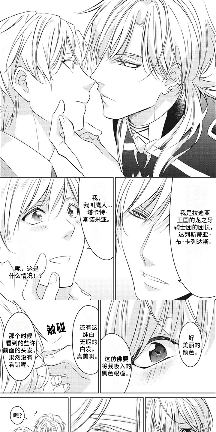 快穿乙女游戏漫画,第4章：团长1图