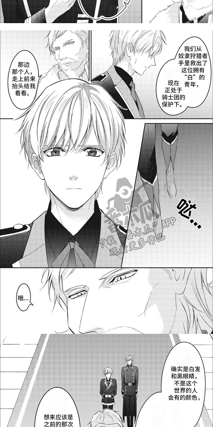 快穿乙女游戏漫画,第13章：国王4图