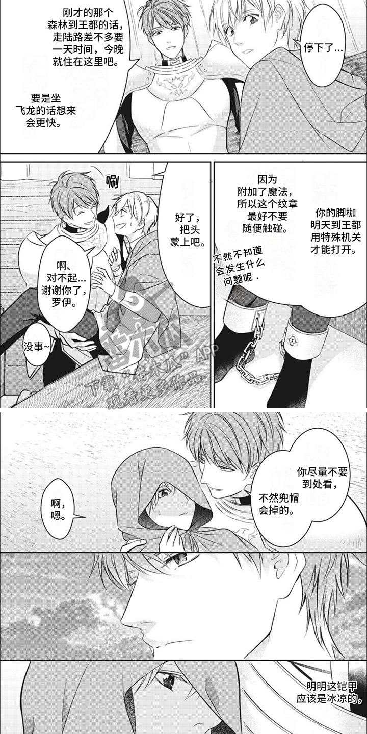 快穿乙女游戏漫画,第4章：团长4图