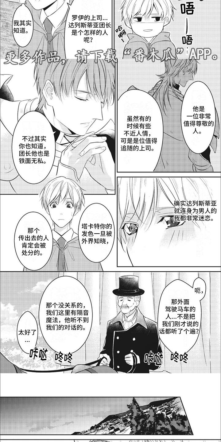 快穿乙女游戏漫画,第4章：团长3图