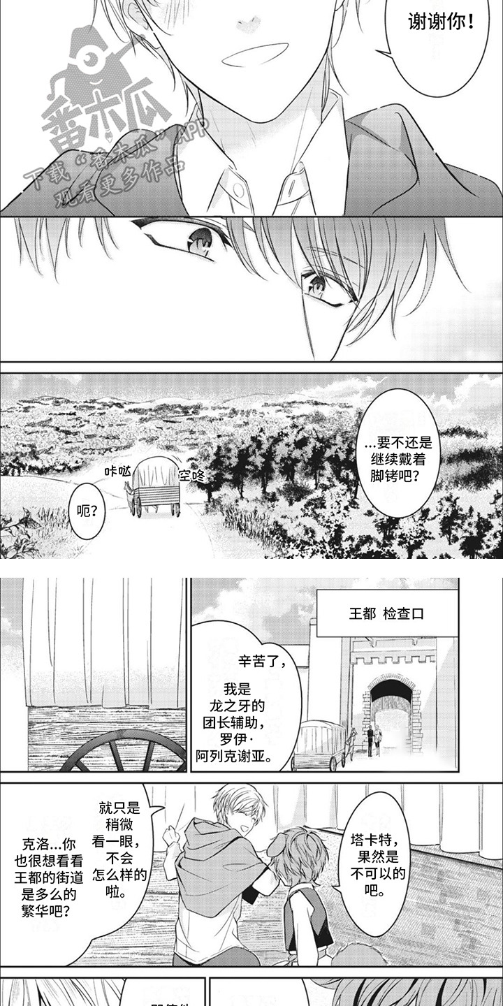 快穿乙女游戏漫画,第9章：到达王都4图