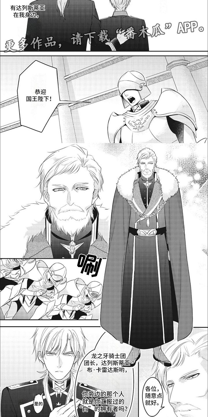 快穿乙女游戏漫画,第13章：国王3图