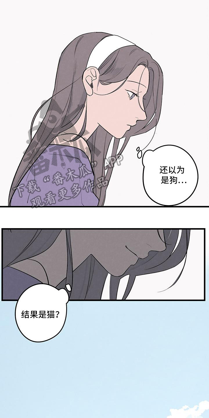 奇怪的交换生漫画,第19章：亲密的关系2图
