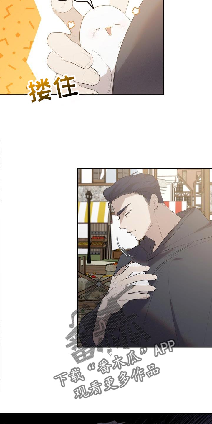 白鸟奇遇记第1季漫画,第34章：不对劲1图