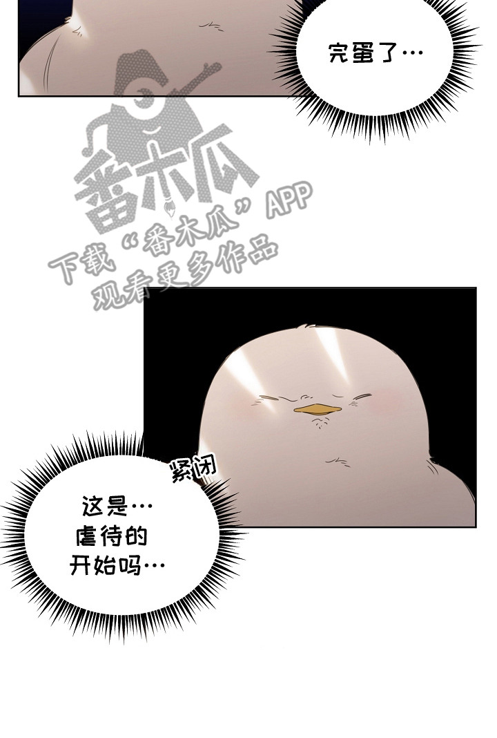 《白鸟奇遇记》简介漫画,第12章：一把抓住1图