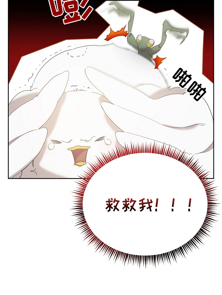 白鸟奇遇记6漫画,第11章：食物4图