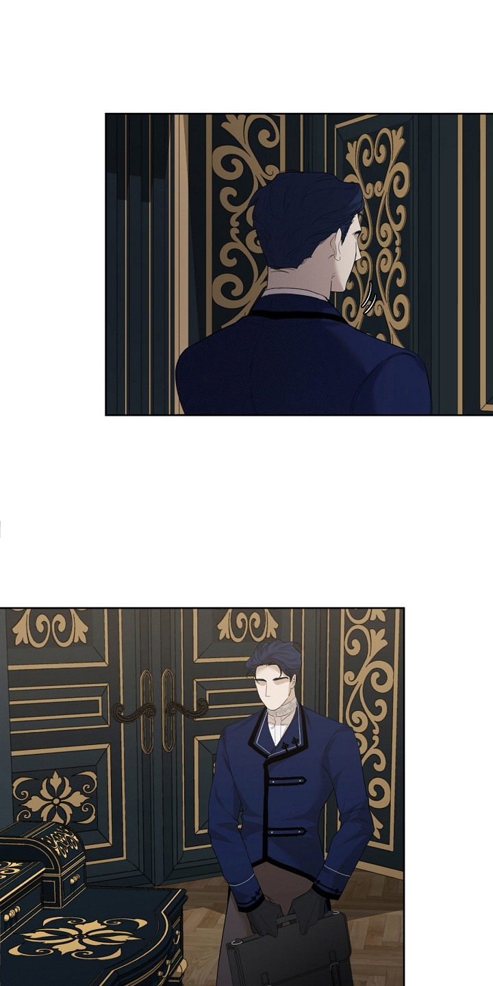 白鸟奇遇记6漫画,第21章：藏起来1图