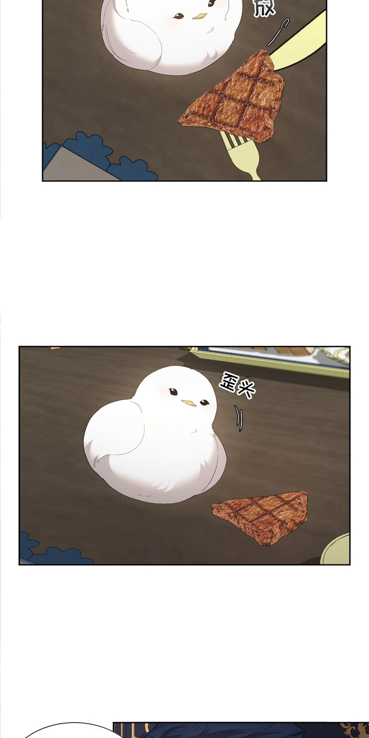 白鸟奇遇记漫画又名叫什么漫画,第15章：好好吃4图