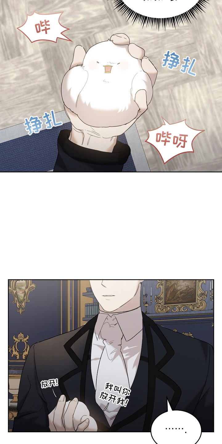 《白鸟奇遇记》简介漫画,第12章：一把抓住4图