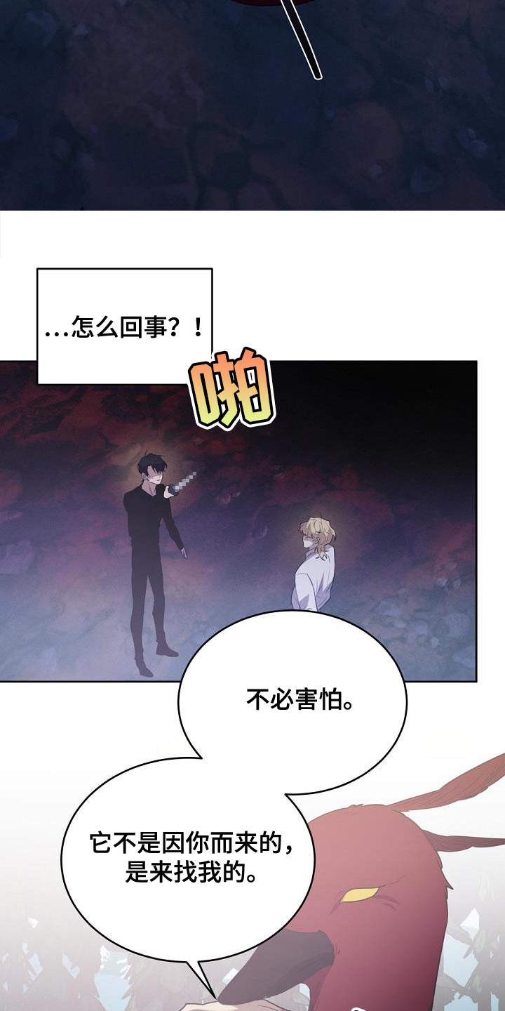 白鸟奇遇记漫画免费下拉观看漫画,第42章：兽人族2图