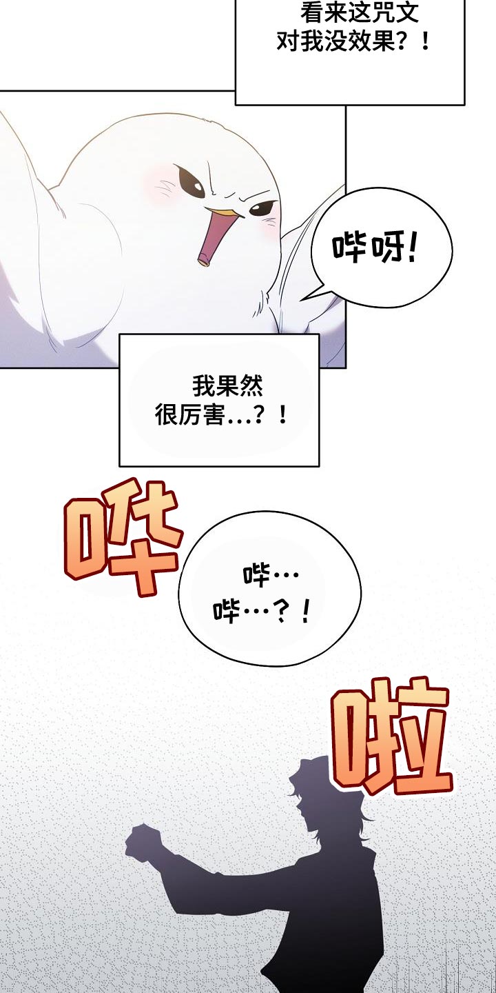 白鸟奇遇记漫画,第41章：似乎会很有趣3图