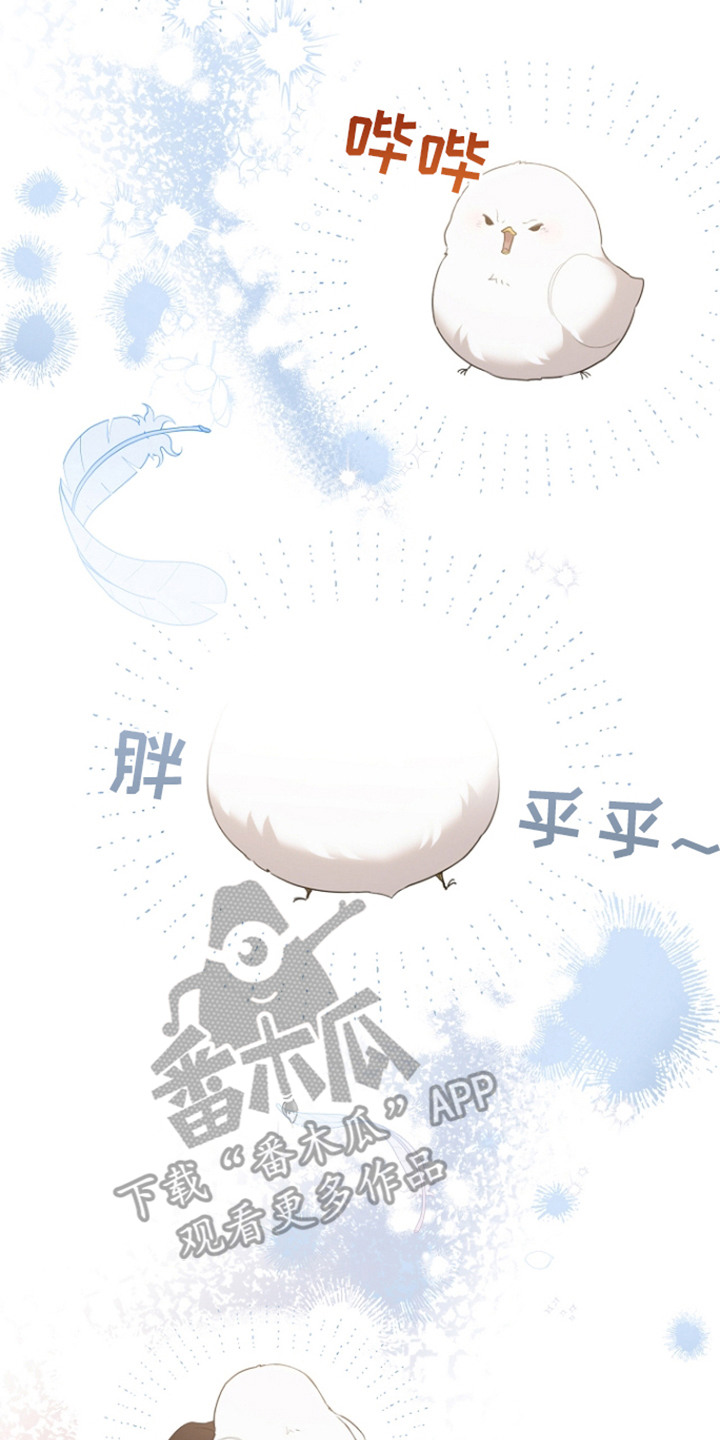 白鸟奇遇记漫画,第22章：精神救赎4图