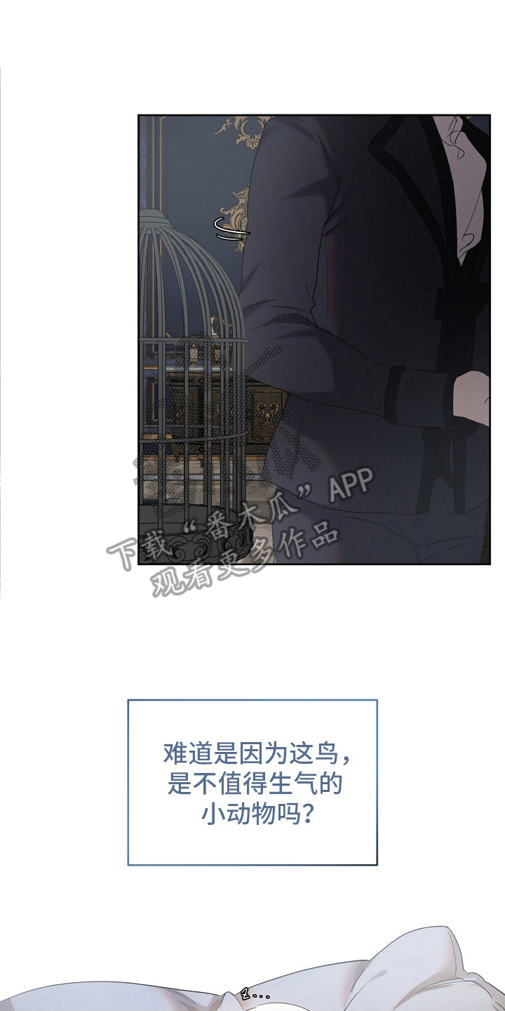 白鸟头发怎么获得漫画,第16章：并不生气2图