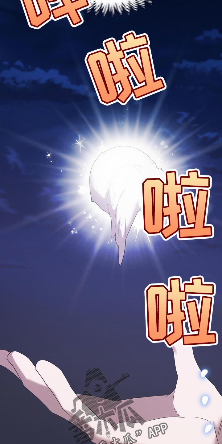 白鸟奇遇记漫画,第41章：似乎会很有趣5图