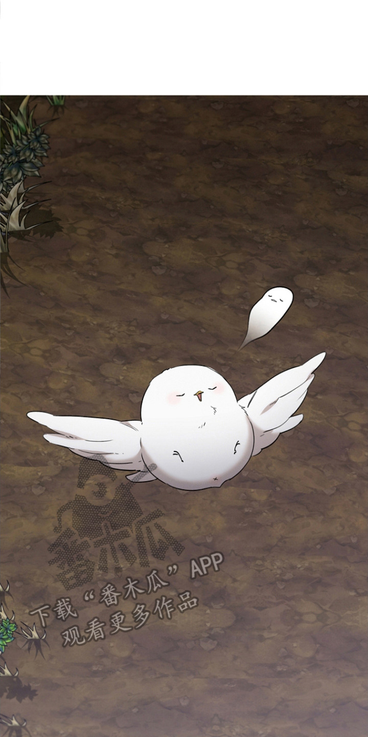 白鸟奇遇记1至200集漫画,第26章：被撞倒2图