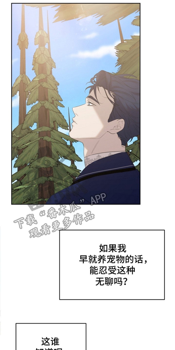 白鸟奇遇记小说漫画,第22章：精神救赎2图