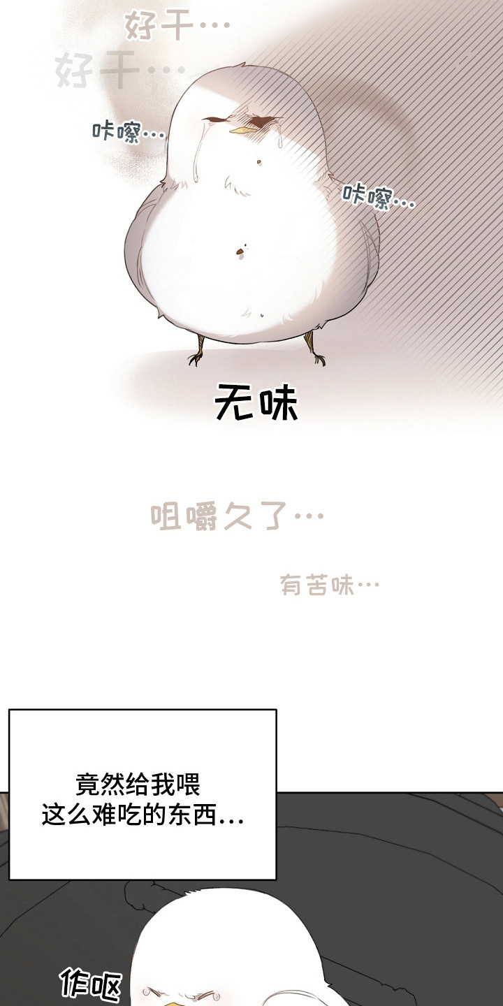 白鸟奇遇记漫画,第4章：性格不好5图