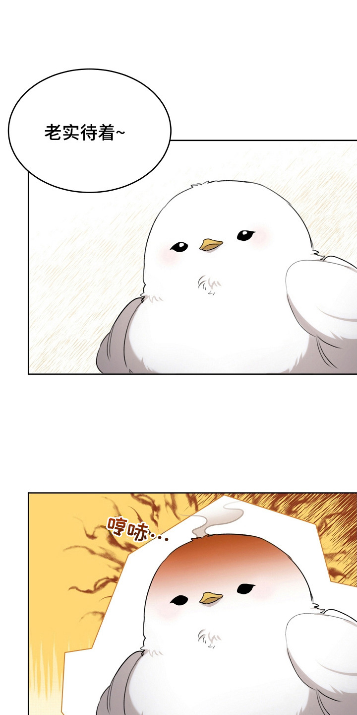 白鸟获取漫画,第5章：是真的3图