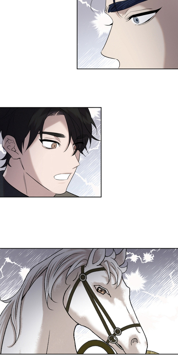 白鸟奇遇记1至200集漫画,第26章：被撞倒1图