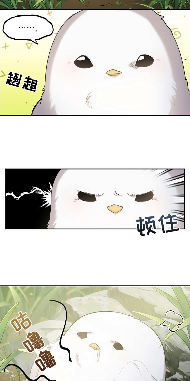 白鸟座漫画,第2章：白色小鸟1图