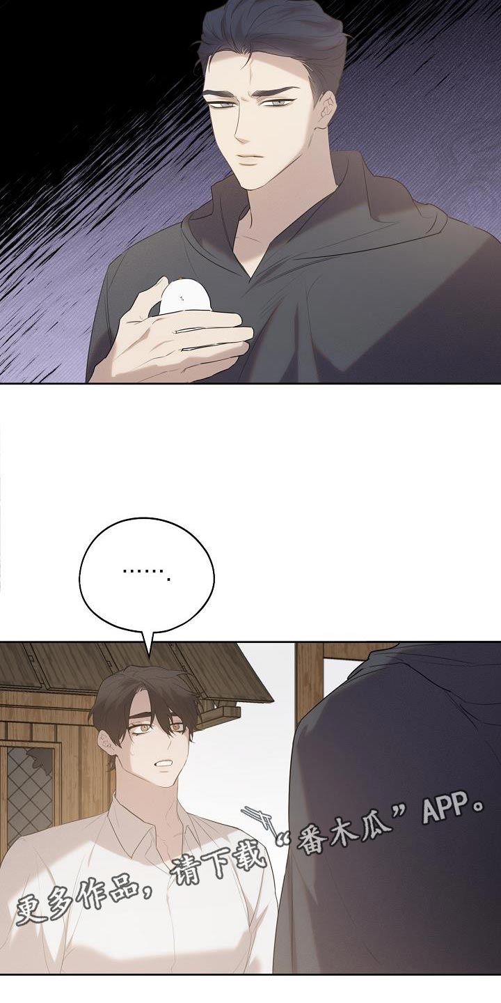 白鸟奇遇记第1季漫画,第34章：不对劲2图