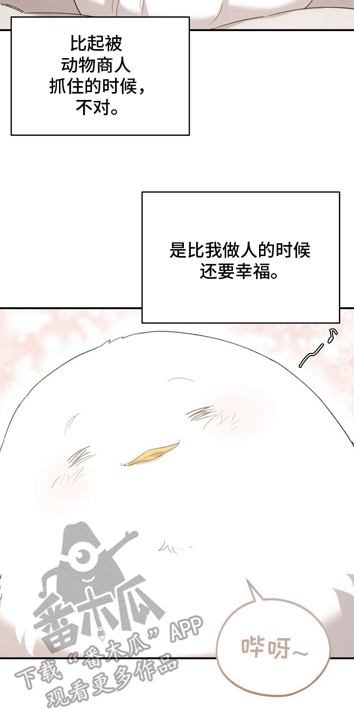 白鸟奇遇记6漫画,第18章：瑟瑟发抖2图