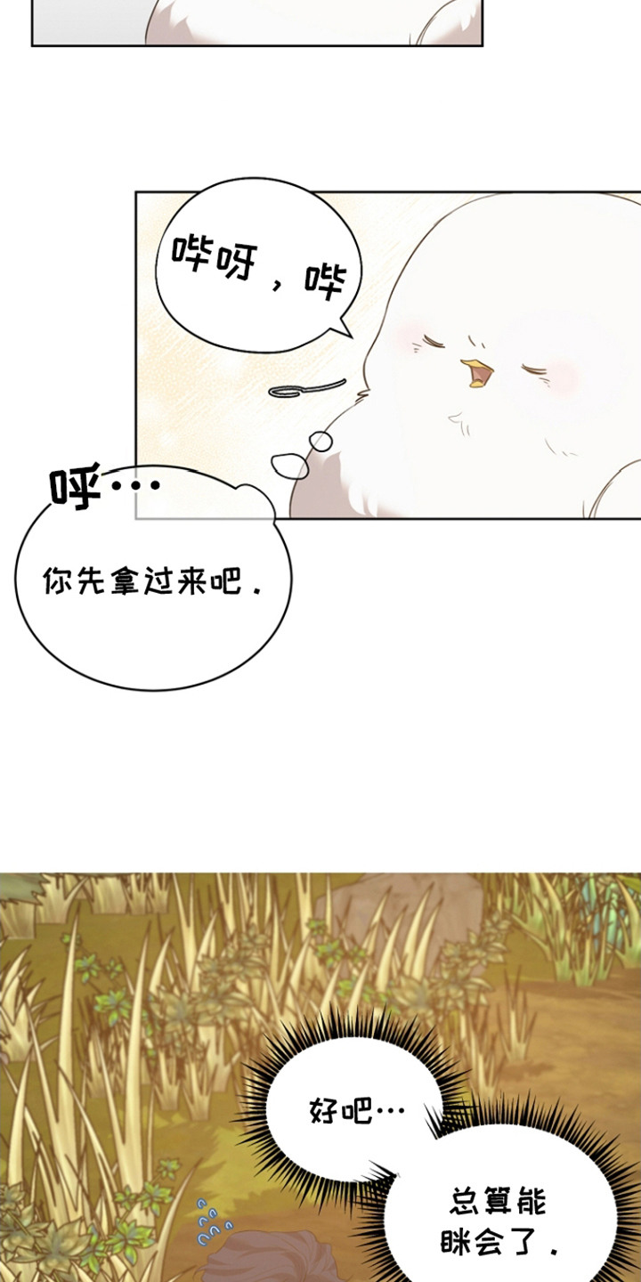 白鸟奇遇记6漫画,第23章：一脸心疼3图