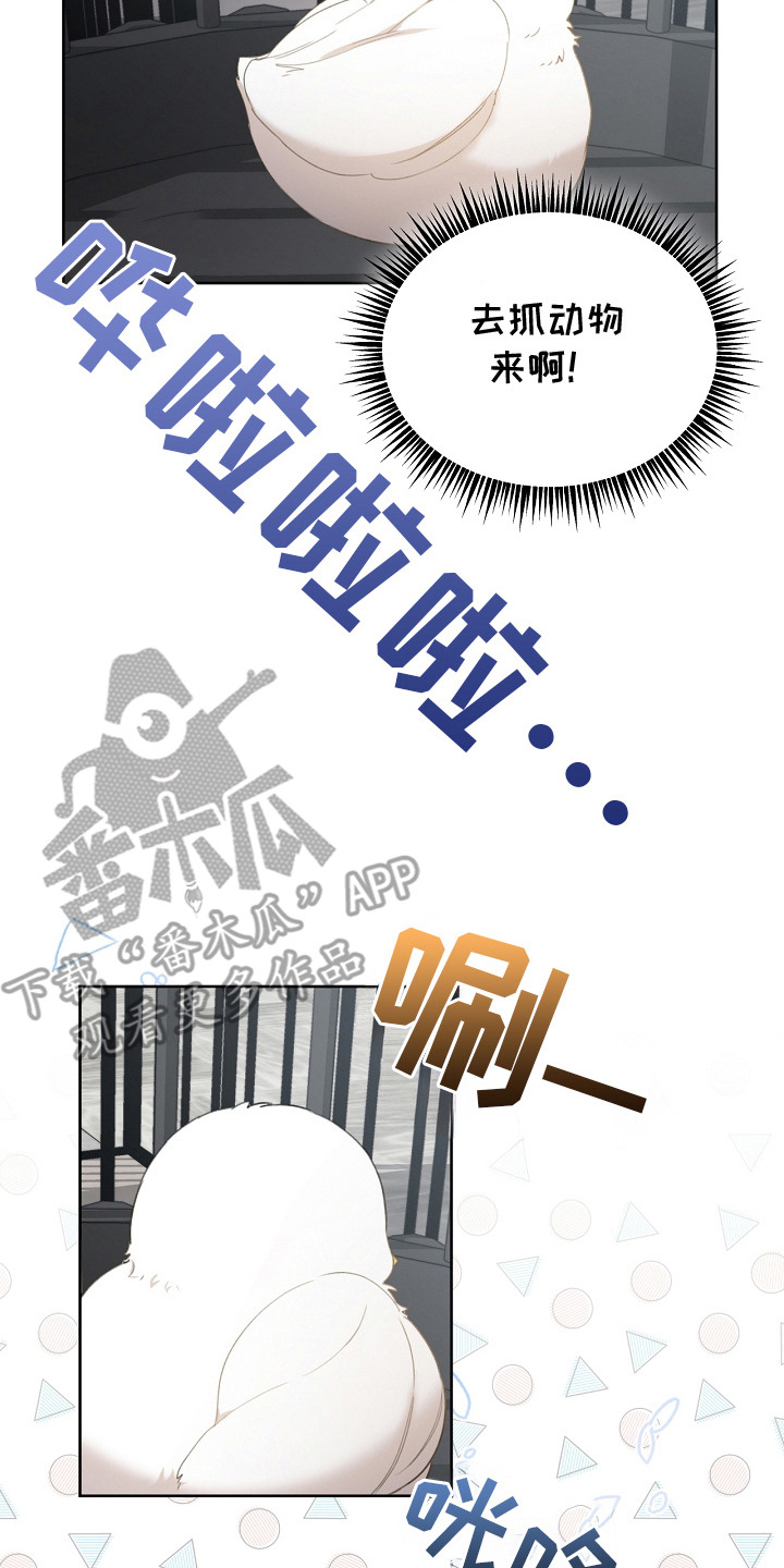 白鸟奇遇记全剧漫画,第9章：选中收养4图