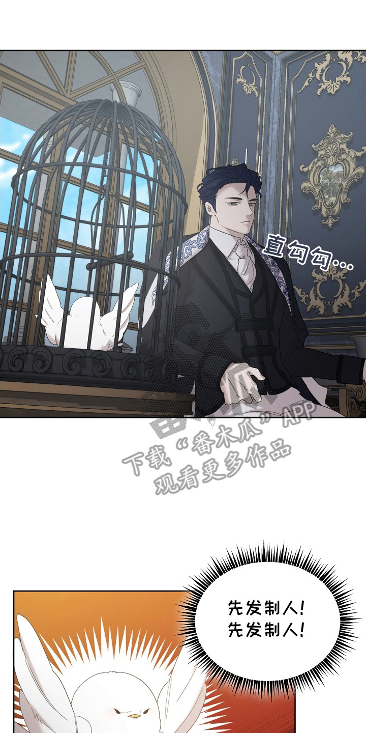 白鸟奇遇记第1季漫画,第8章：先发制人2图