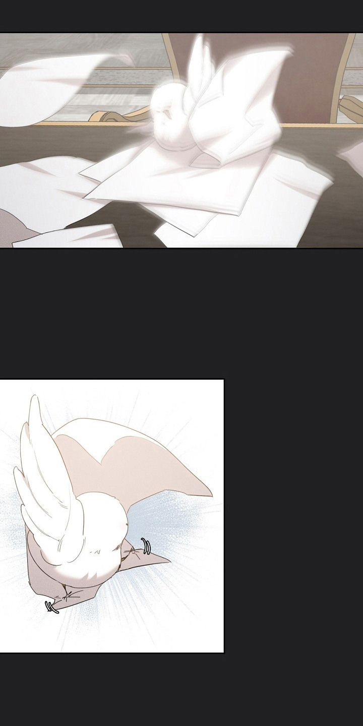 白鸟奇遇记漫画还叫什么漫画,第17章：取名3图