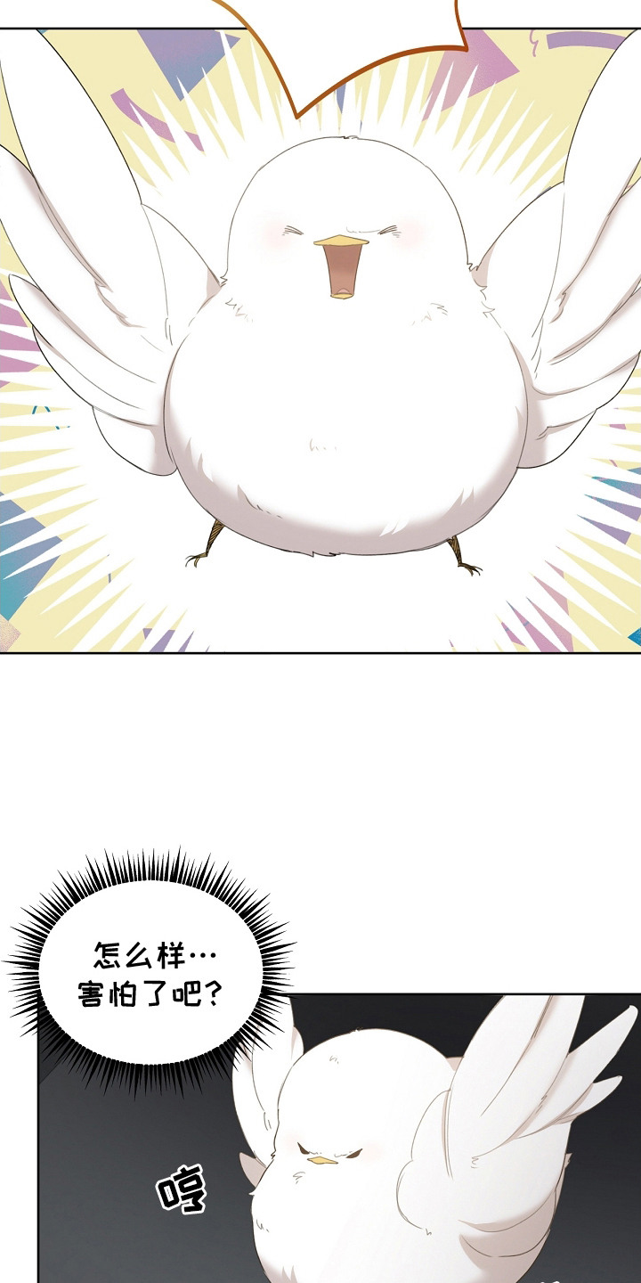 白鸟奇遇记又叫什么漫画,第8章：先发制人5图