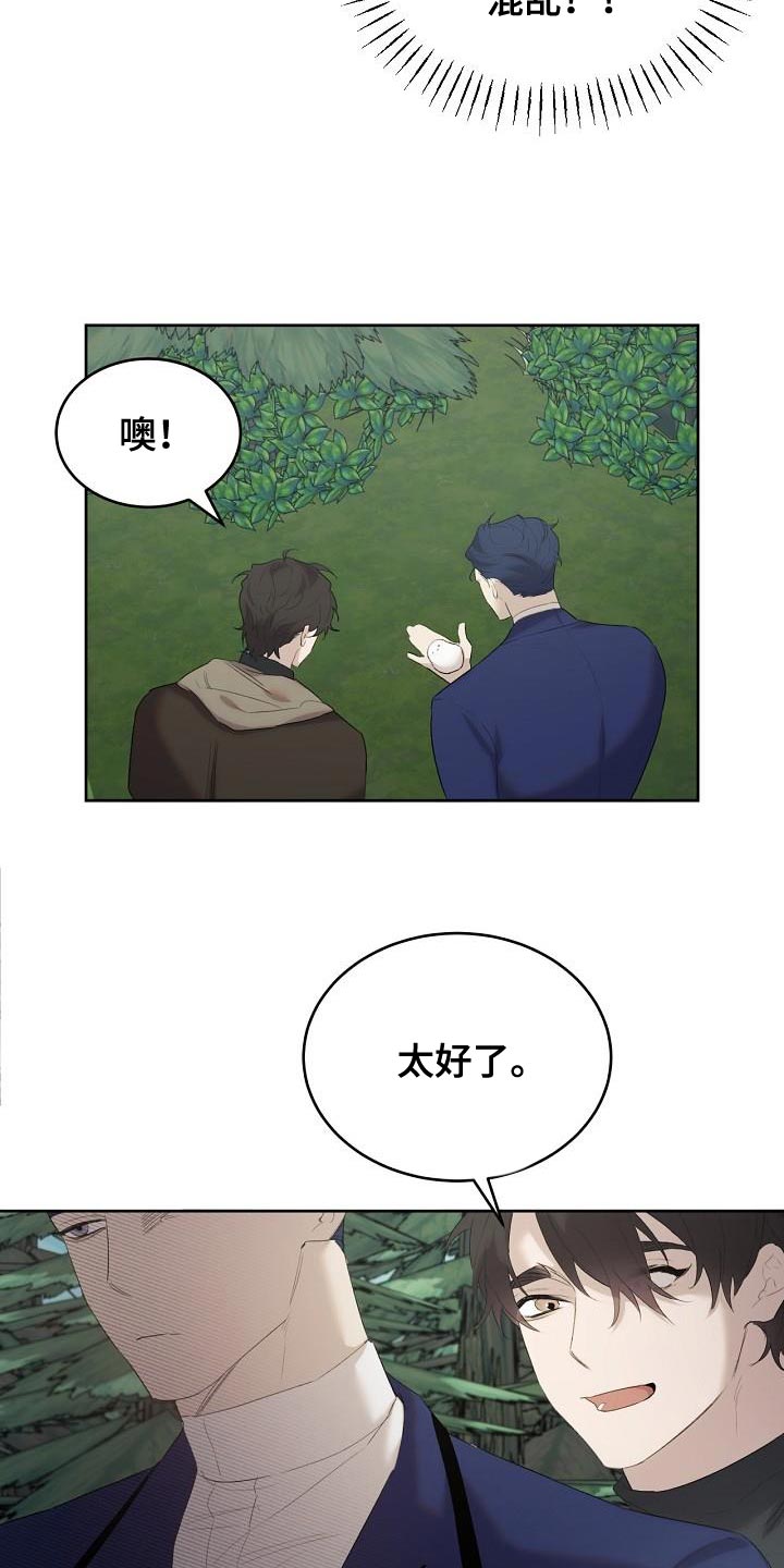 白鸟奇遇记漫画,第27章：好混乱啊1图