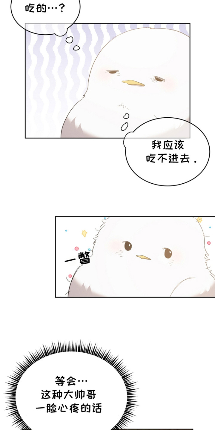 白鸟奇遇记6漫画,第23章：一脸心疼1图