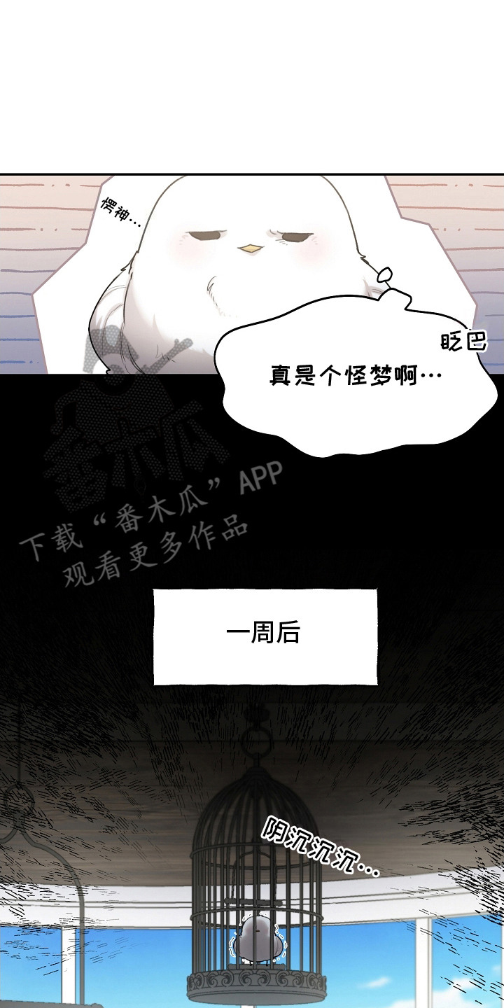 白鸟获取漫画,第3章：捕获4图