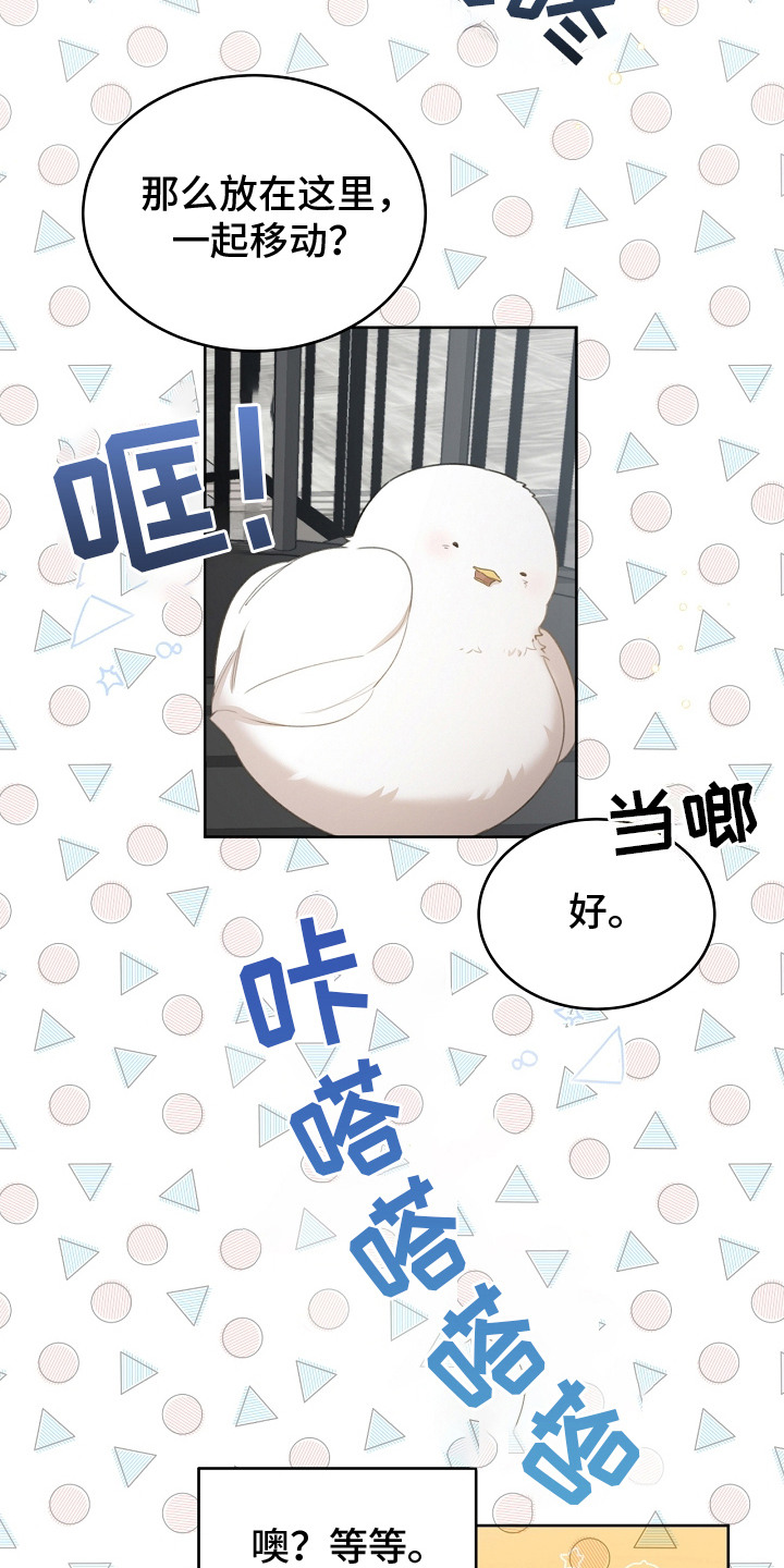 白鸟奇遇记全剧漫画,第9章：选中收养5图