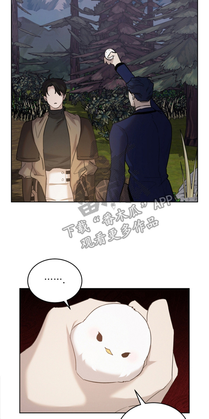 白鸟奇遇记6漫画,第25章：陌生旅人2图